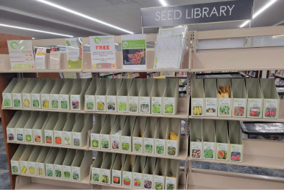 boxes full of packaged seeds on a shelf