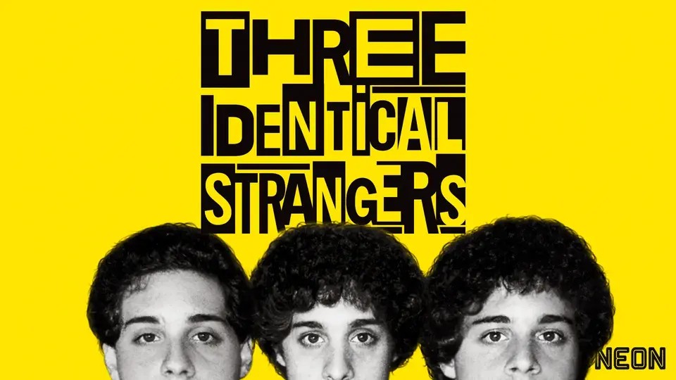 Image for "Three Identical Strangers"