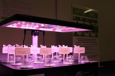 Hydroponic Garden