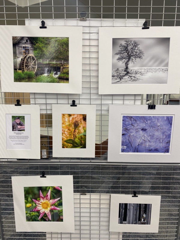 Nature photos on a wire screen.