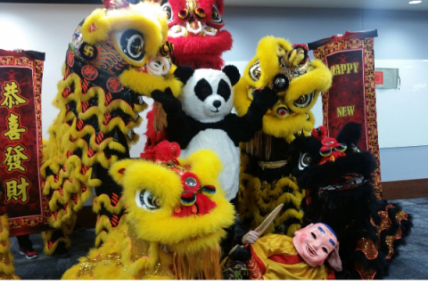 Lunar New Year Lion Dance
