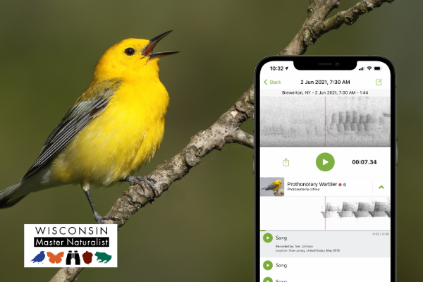 birding app