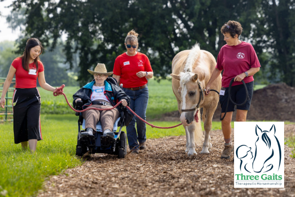 Group of horseback riders
